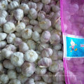 Ajo blanco fresco chino en bolsa de malla 10kg
